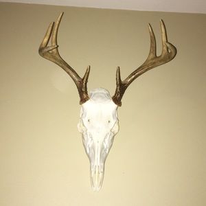 Meet your Posher, Ella